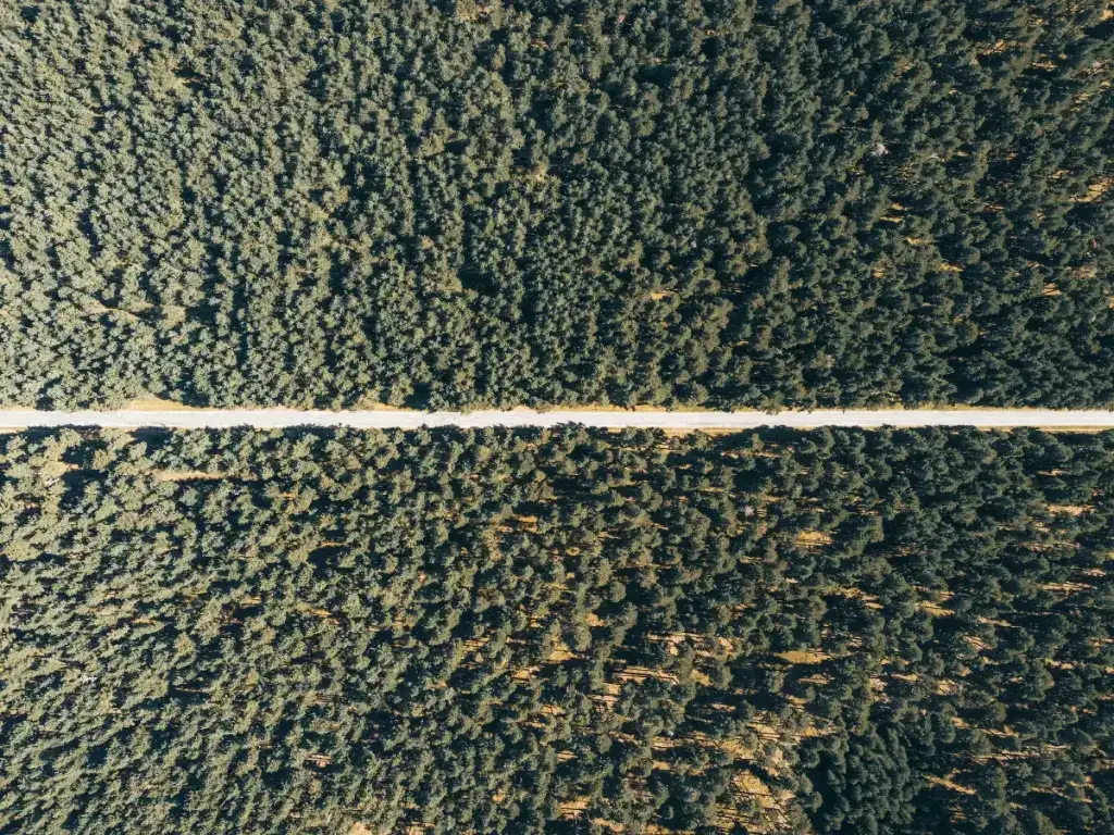 Different types of photo damage shown side by side