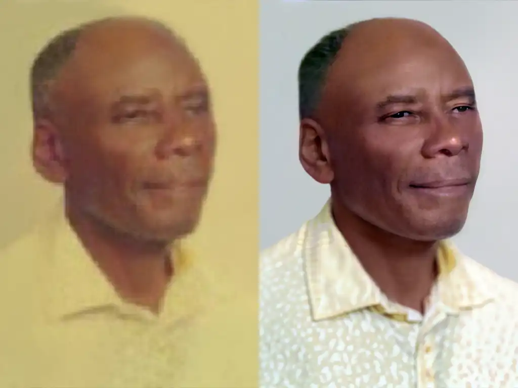 Basic Image Adjustments 8 Sharpen Image vs blurry image before after