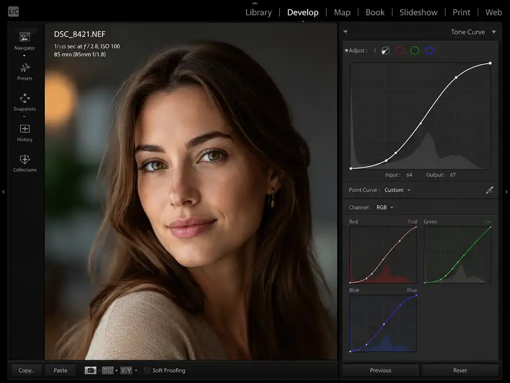 Editing screen showing tone curve and color channel adjustments producing refined tonal balance in a photo.